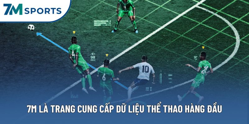 7M là trang cung cấp dữ liệu thể thao hàng đầu